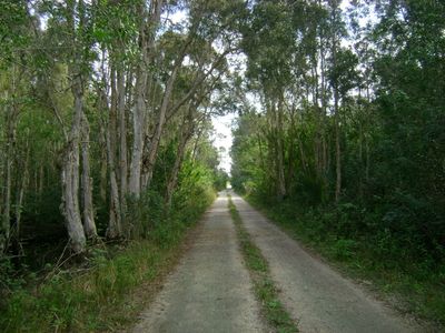 480 Rabbit Run Rd, Naples, FL, 34120