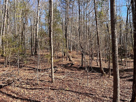 5th image of 2270 McDonough Rd