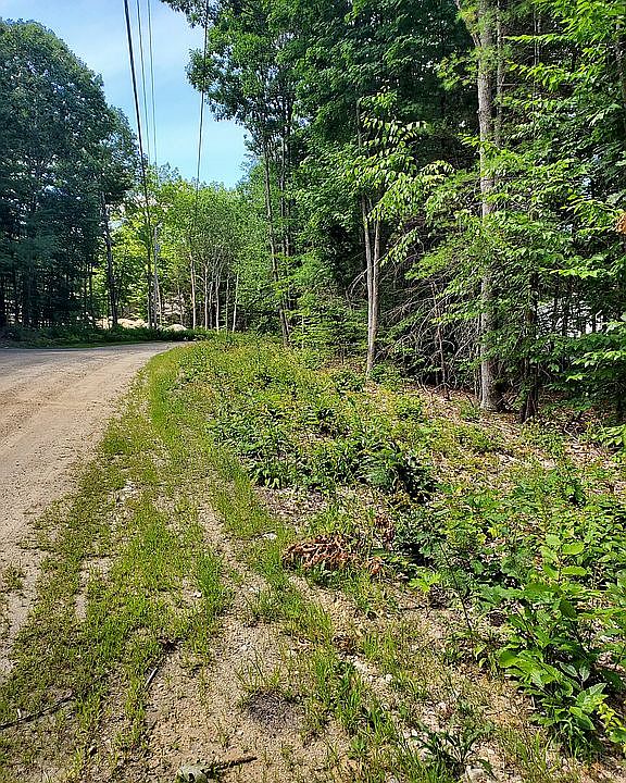 2nd image of Nancy Ct #21