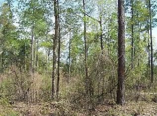 5283 Old River Rd N, Statesboro, GA 30461