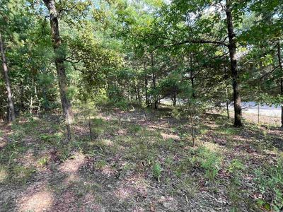 4 Misenheimer Rd, Mountain View, AR, 72560