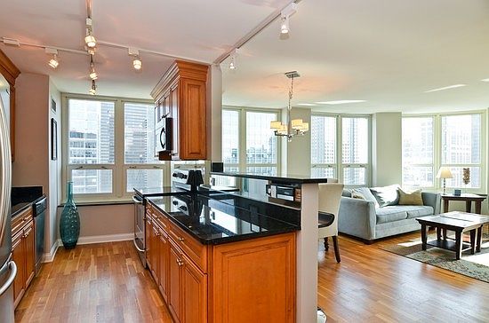 5th image of 345 N La Salle Dr APT 4204