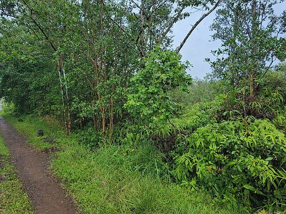 5th image of Road 2 Lot 2798