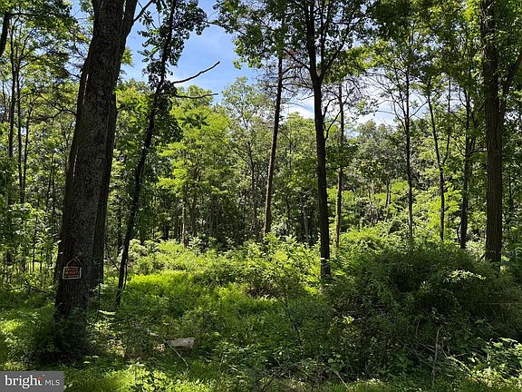 5th image of 79 Cabin Rd