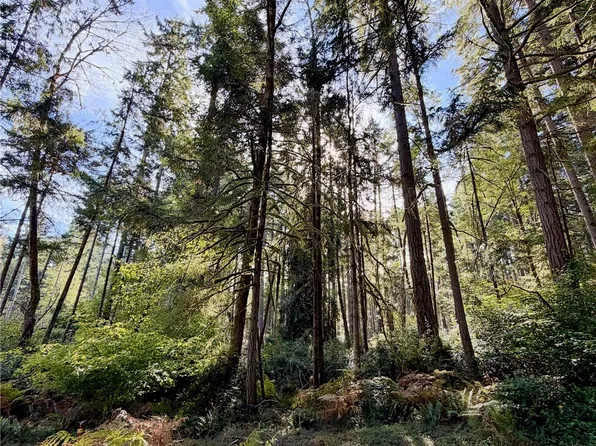 11616 Country Club Dr., Anderson Island, WA 98303