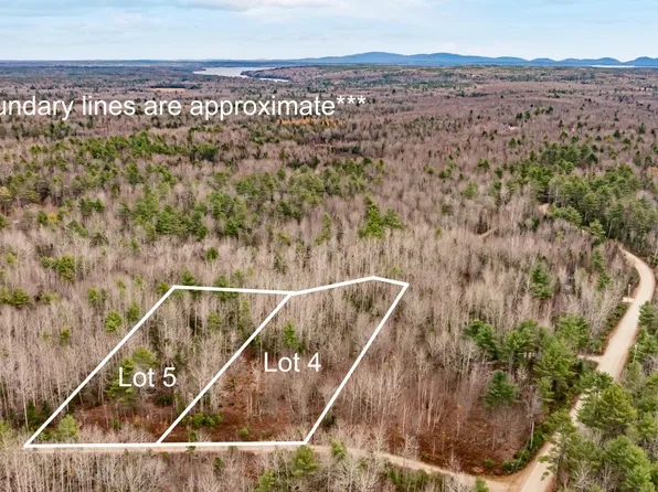 M10 L29A4 Miller Lane, Surry, ME 04684