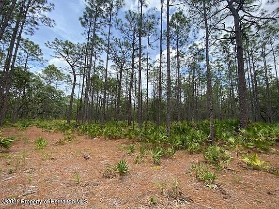5th image of LOT 21 Hardeman Jct Lot 21