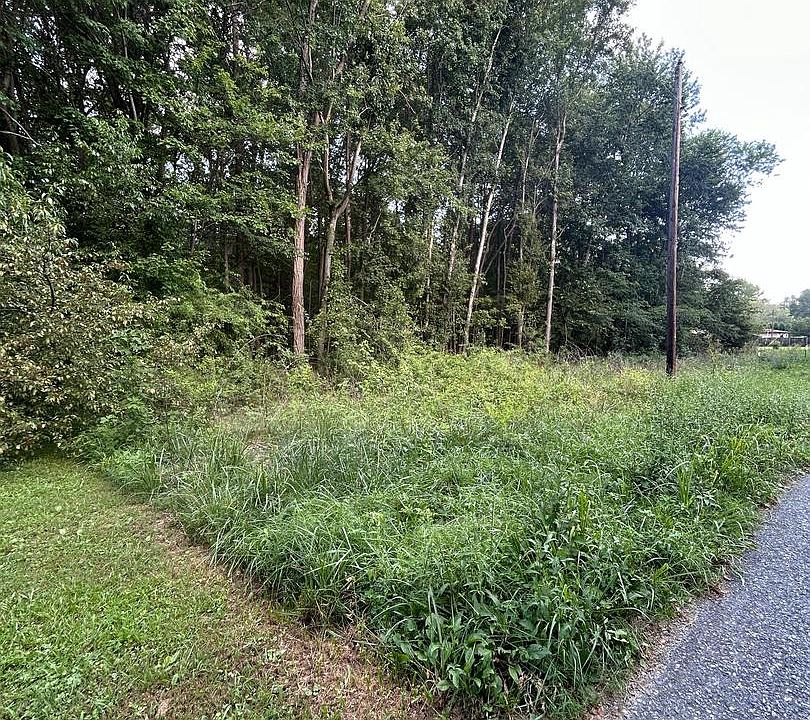 2nd image of Chesterville Forest Rd Parcel 84A