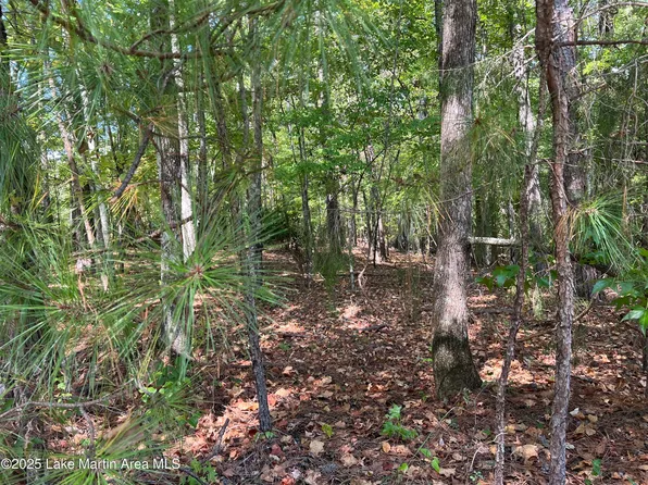 2 Vista Wood Fawn Ln, Dadeville, AL 36853