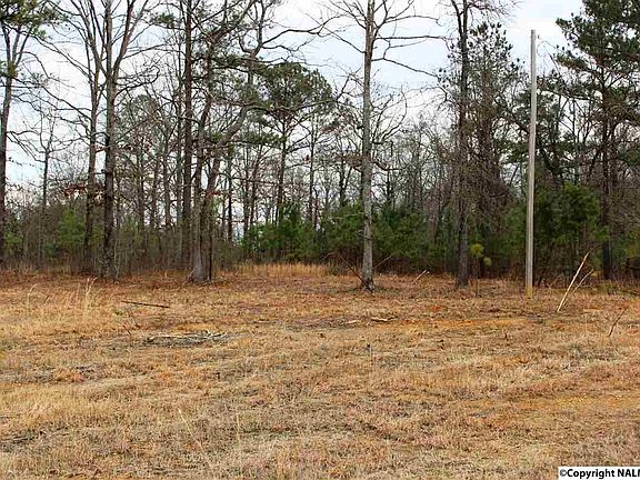 2nd image of 1624 County Road 16