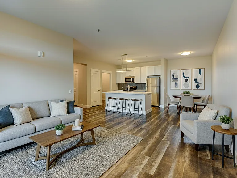 1 BR/1 BA living room and kitchen