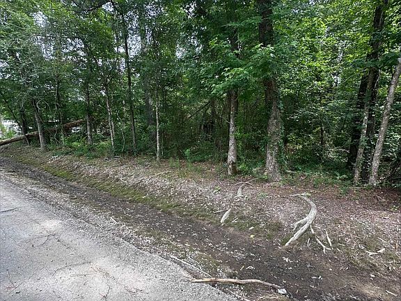 4th image of Angus Dr