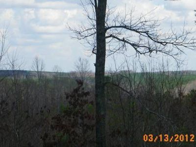 2316 Buffalo Rd, Hohenwald, TN, 38462