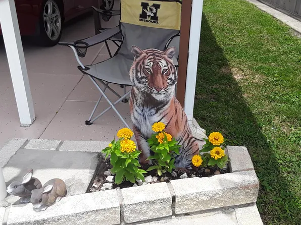 6821 Elderberry Dr, New Port Richey, FL 34653