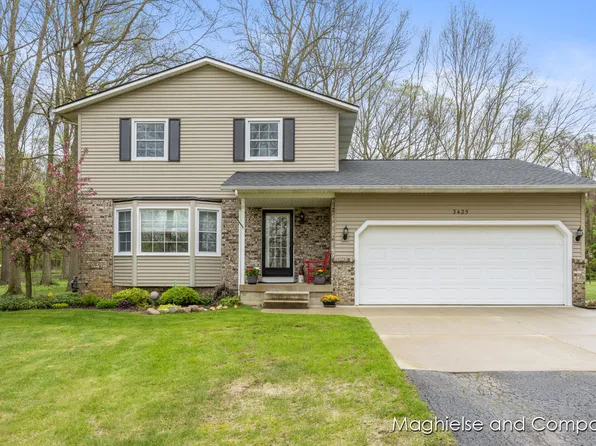 3425 13th St, Wayland, MI 49348