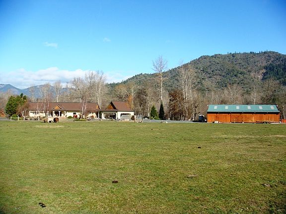 Irrigated Pastures & Trees
