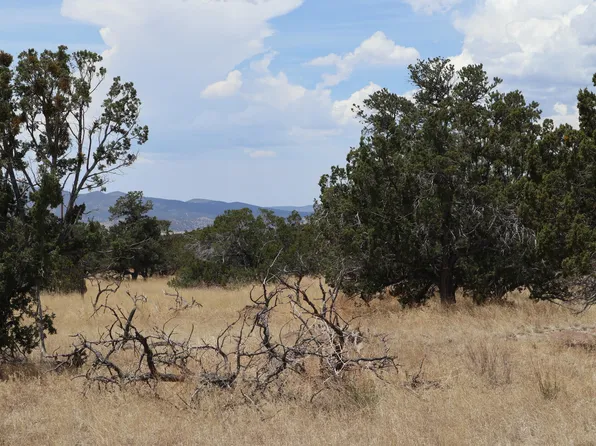 77 Western View Dr, Datil, NM 87821