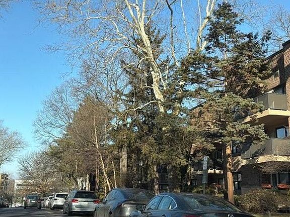 5th image of 90 Knightsbridge Rd