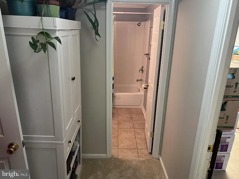 9015 Piney Grove Dr — Photo 36