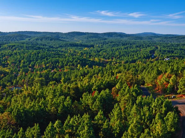 37 Beechwood Ln Lot 580, Broken Bow, OK 74728