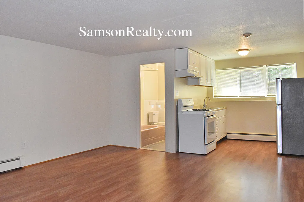 Studio, $1,250 — Photo 3