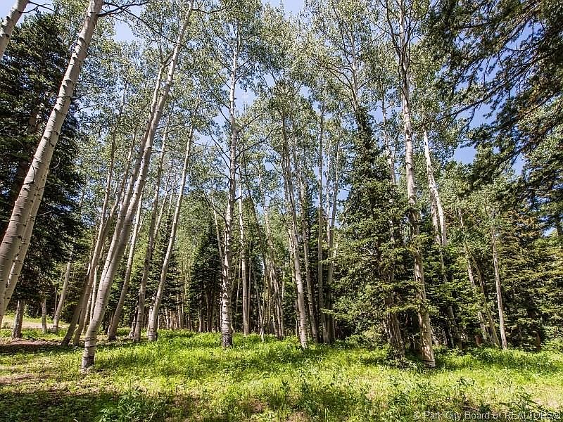 1st image of 200 White Pine Canyon Rd #200