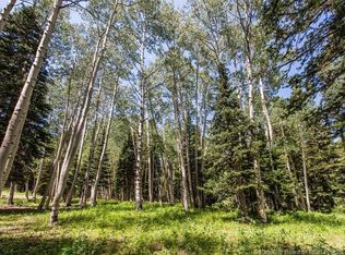 200 White Pine Canyon Rd #200, Park City, UT 84060