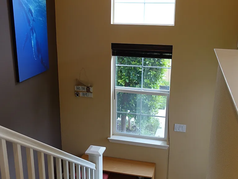 490 Tristania Ter — Photo 6