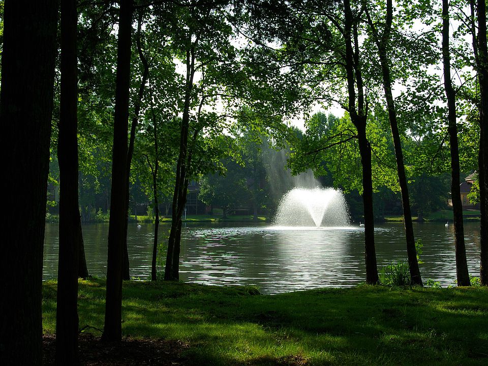 Pond