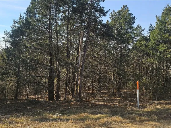 E Mockingbird Trl #35 & 36, Lead Hill, AR 72644