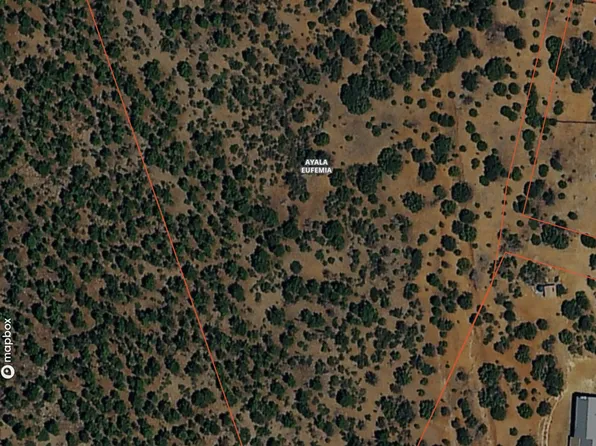 Sara St, Ribera, NM 87560