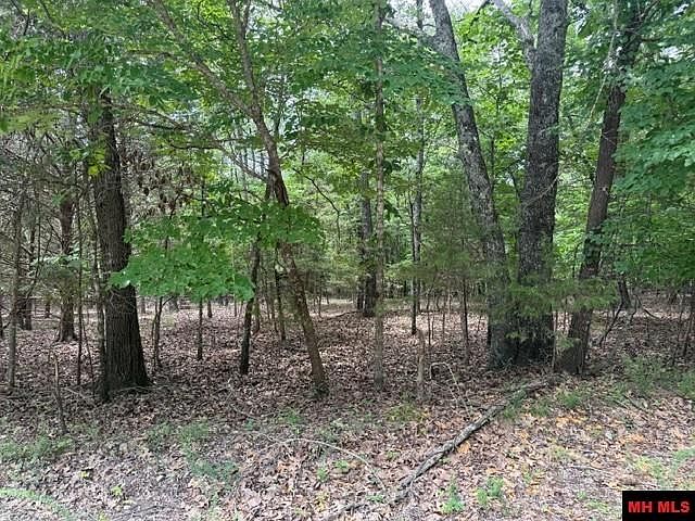 1st image of 258 County Road 472