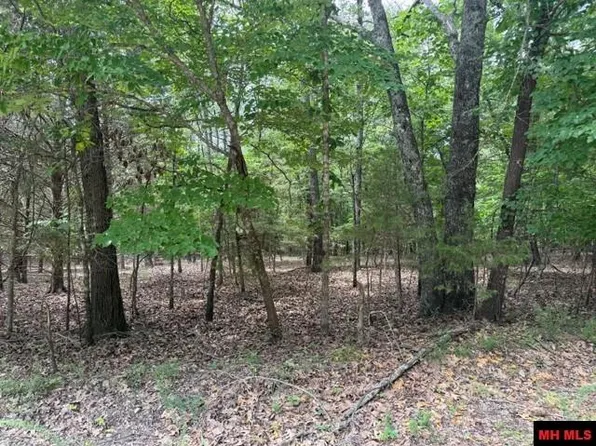 258 County Road 472, Clarkridge, AR 72623