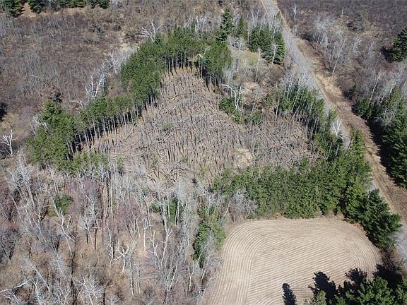 2nd image of 9.429 Schwartz Road