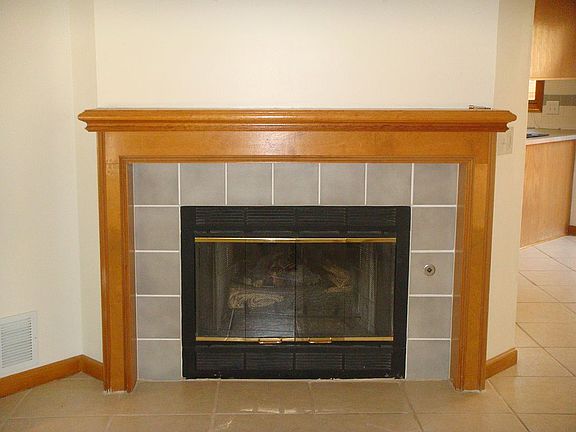 Gas fireplace