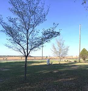 3rd image of 5794 216th St