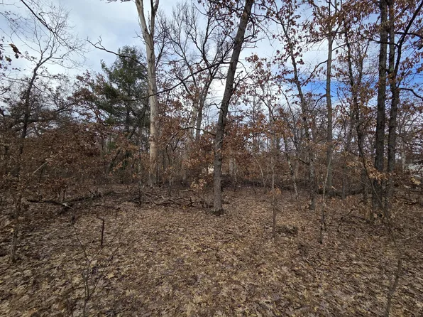 V/l W Mead St, Baldwin, MI 49304