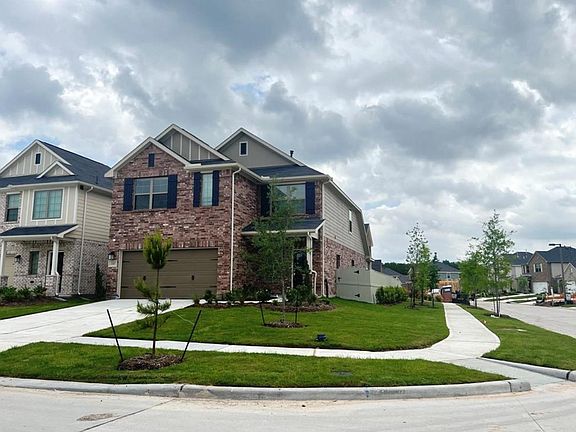 4th image of 17697 Tree Of Heaven