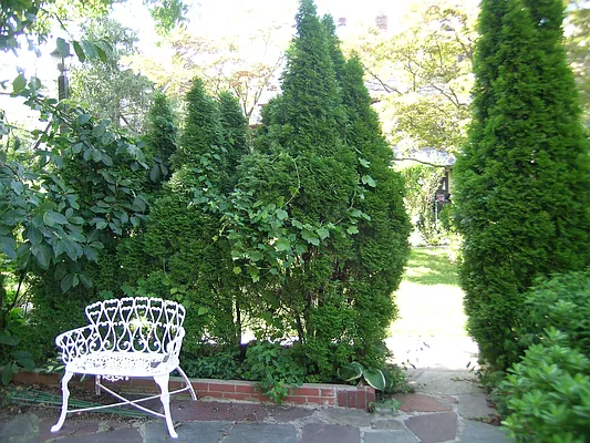 Sold by The Coop Connection LLC | media 75