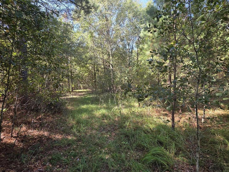 2nd image of 0 Beaver Dam Road