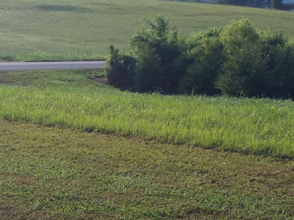 2nd image of 1 Tuckahoe View Trl