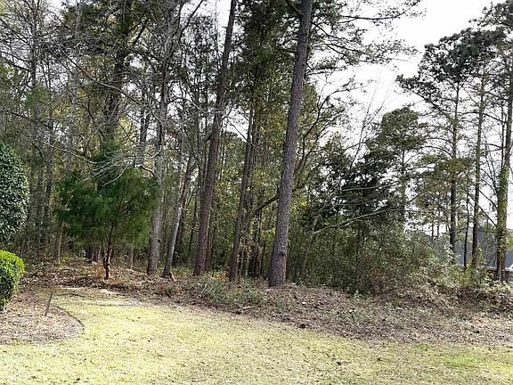 2nd image of Lot 66 Preservation Circle Lot 66 The Reserve