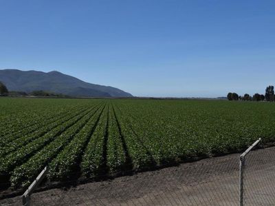305 Hueneme Rd, Camarillo, CA, 93012