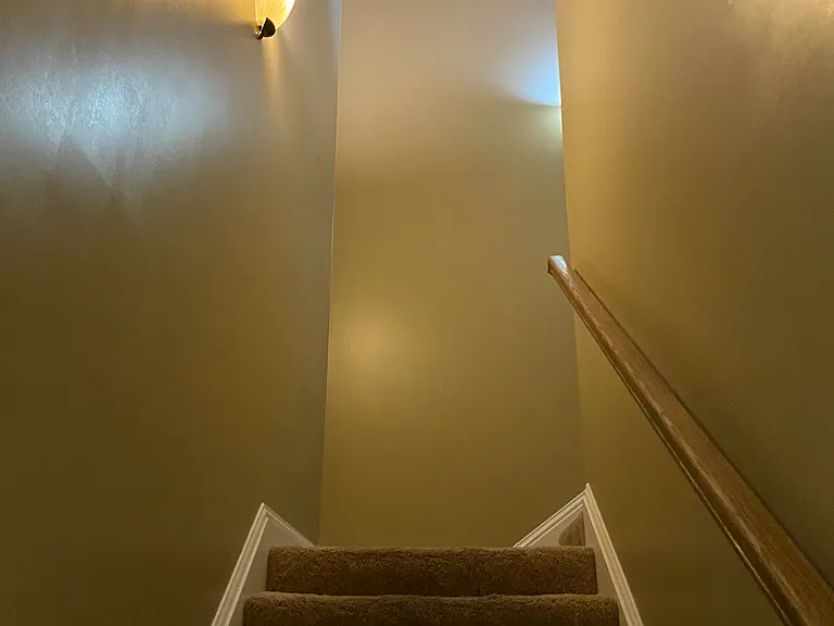 190 Forest Mountain Dr — Photo 10