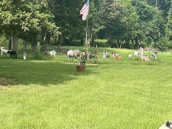 5th image of 656 N 4420th Rd