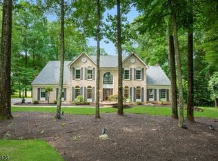 3 Bird Song Ct, Chester, NJ 07930