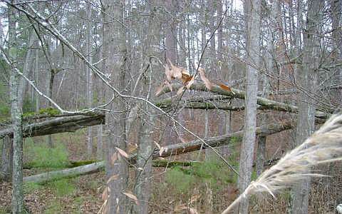 2nd image of 235 Willow Dr