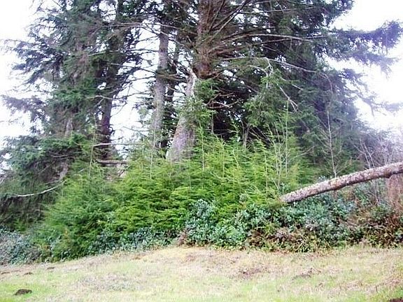 3rd image of 800 & 901 Hobsonville Point Dr