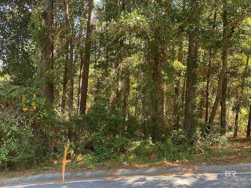 2nd image of 239 Bay View Dr