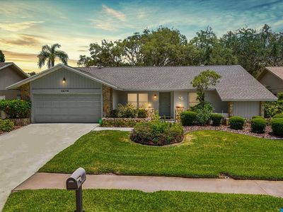 3675 Hollow Trail Ct, Palm Harbor, FL, 34684